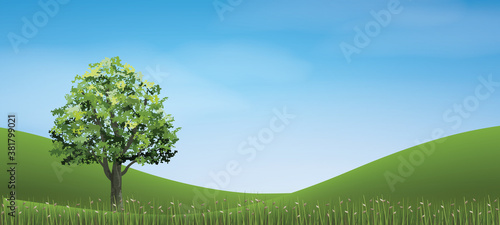 Tree in green grass hill area with blue sky. Vector.