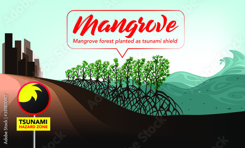 Mangroves on the sea shore. The concept of tsunami alert campaign banner.