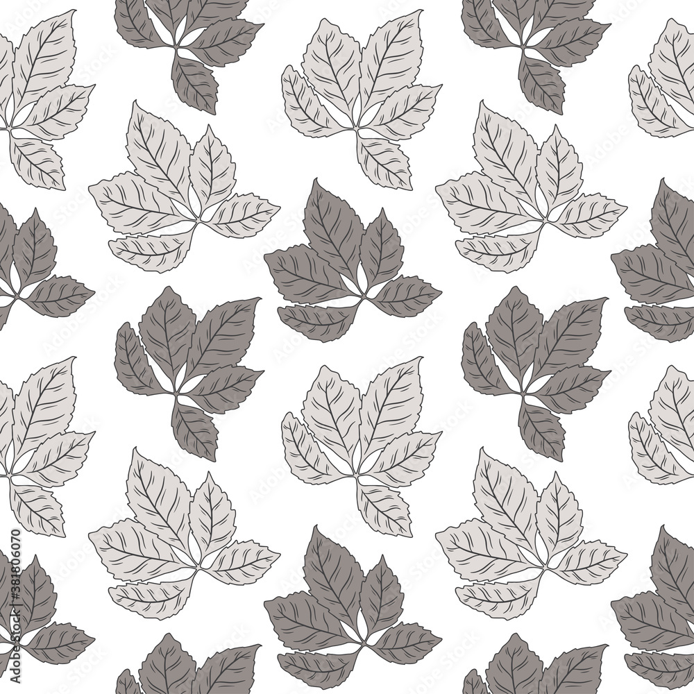 Seamless pattern with hand drawn leaves of chestnut on a white background. Doodle, simple outline illustration. It can be used for decoration of textile, paper.