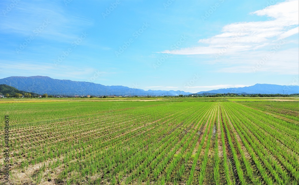 新潟県・田園風景 新潟県・田園風景