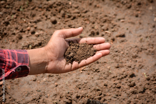 Hand of farmer checking soil health before growth a seed of vegetable or plant seedling. Agriculture concept.