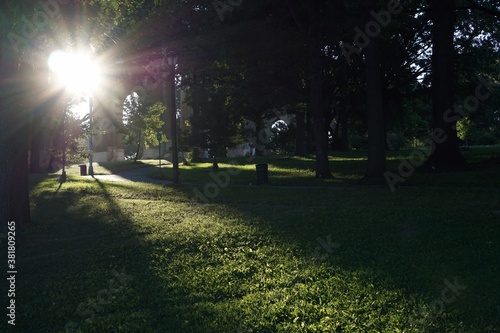 sun rays in the park