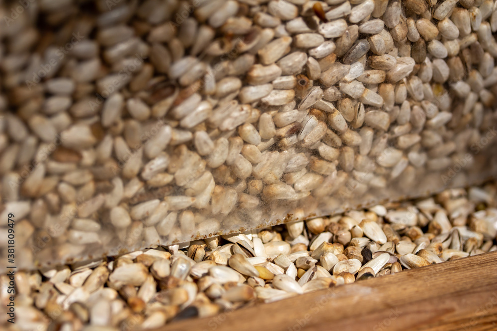 Fototapeta premium Full frame macro texture background of safflower seeds in a wooden bird feeder, with copy space