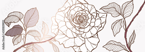 Luxury pink and white rose background vector with golden metallic decorate