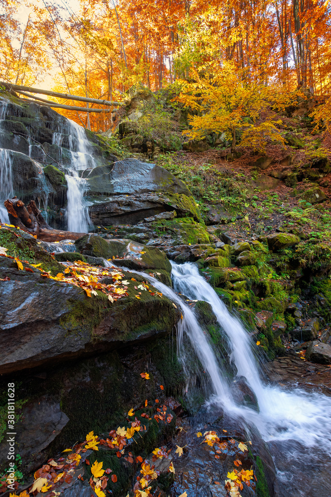 Fotografie waterfall in the autumn forest