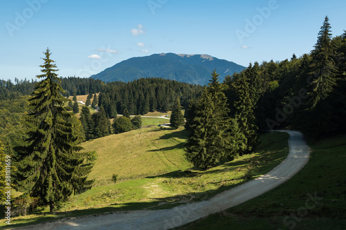 Panoramic View of a Path Leading to the Mountain through a Forest