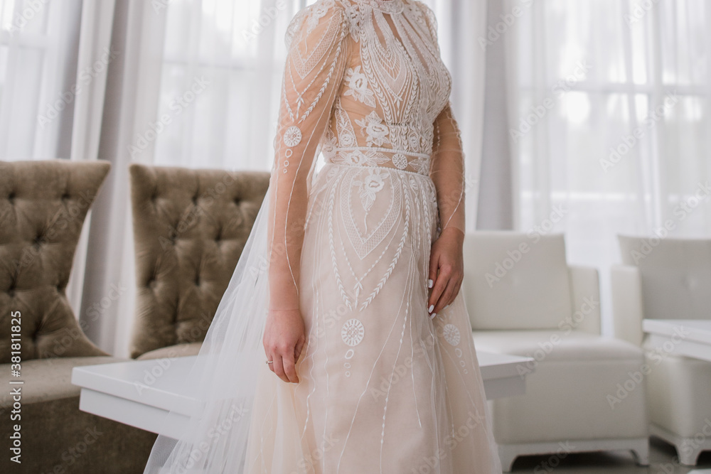 bride in a beautiful wedding dress and veil bride in a beautiful wedding dress and veil