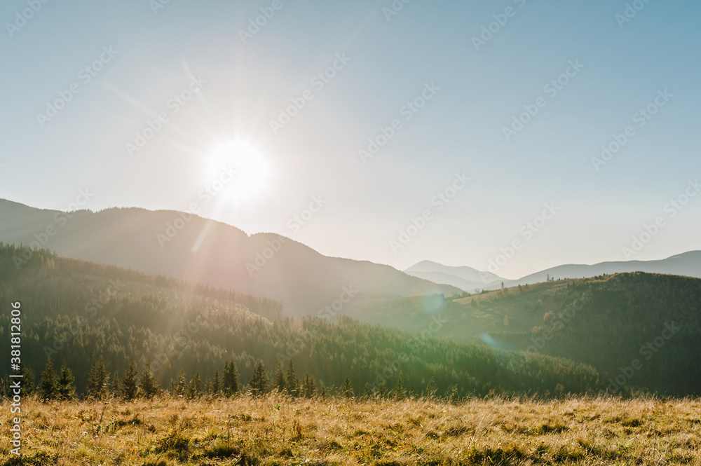 Obraz premium Autumn sun in the mountains. Trees on the edge of a hill in fall colors. The wonderful countryside in the morning. Amazing view on a sunny day with fog and high mountain peaks behind.