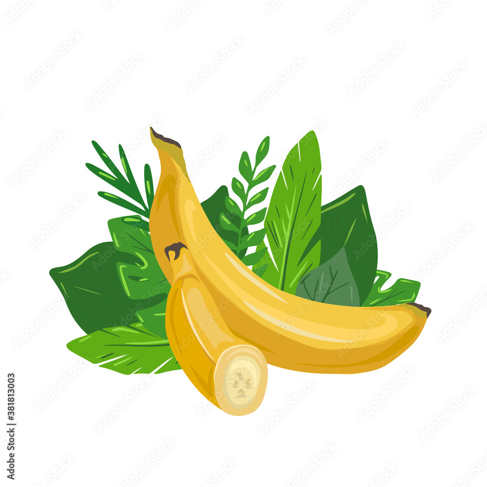 Cartoon two various bananas with tropical leaves and white background. Delicious juicy treat. Vector flat illustration for menus, recipes, postcards and your design.