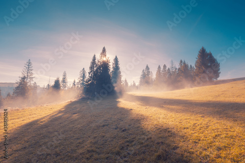 Morning fog on the autumn mountain hills. Sun is rising over spruce trees on a mountain slope, creating big dramatic shadows.