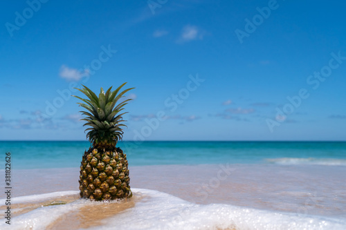Pineapple on sand with on blue sky summer concept.