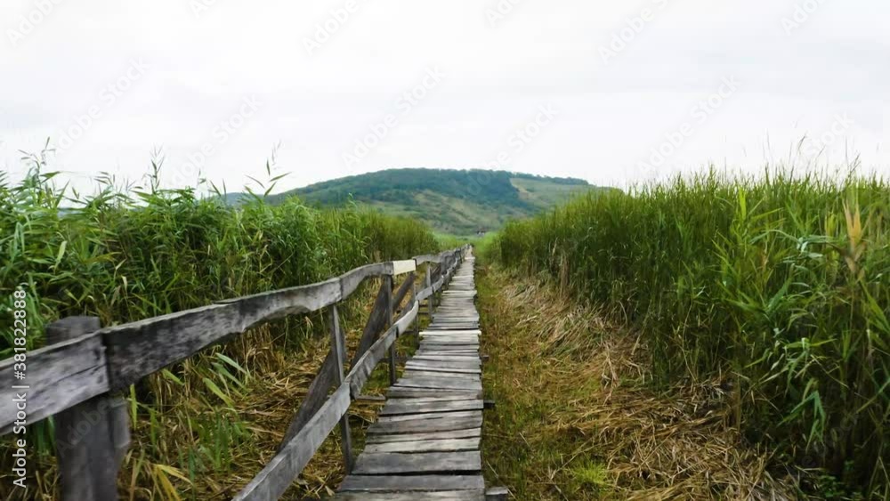 Low aerial shot of a wood deck over a reed marsh. Wildlife reserve Low aerial shot of a wood deck over a reed marsh. Wildlife reserve