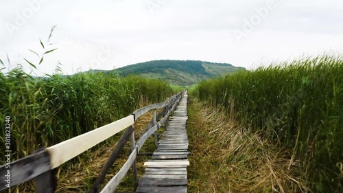 Low aerial shot of a wood deck over a reed marsh. Wildlife reserve