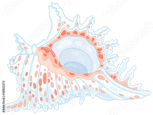 Beautiful fancy white shell with pink spots from a tropical reef in a southern sea, vector cartoon illustration on a white background