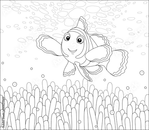 Funny striped anemonefish swimming among poisonous stings of an anemone on a coral reef in a tropical sea, black and white outline vector cartoon illustration for a coloring book page