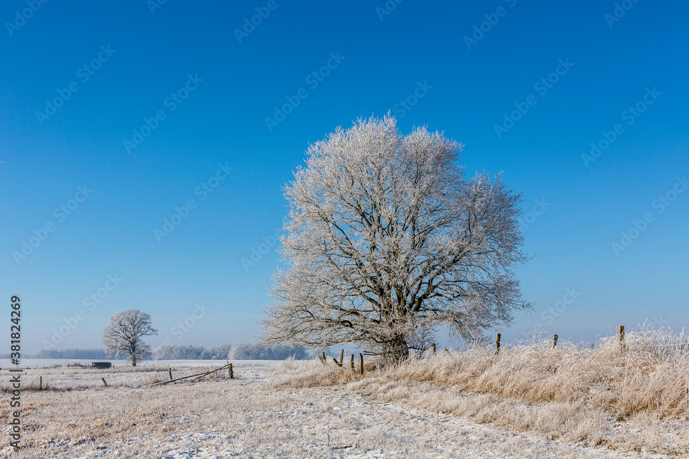 Winter Idyll In The North Of Germany