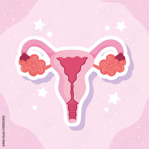 female human reproductive system biology scheme