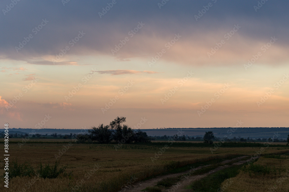 Fototapeta premium Panorama. Landscape with bloody sunset. The eerie clouds had invaded the sky. Storm front over the fields. Tragic gloomy sky. Purple-magenta clouds.