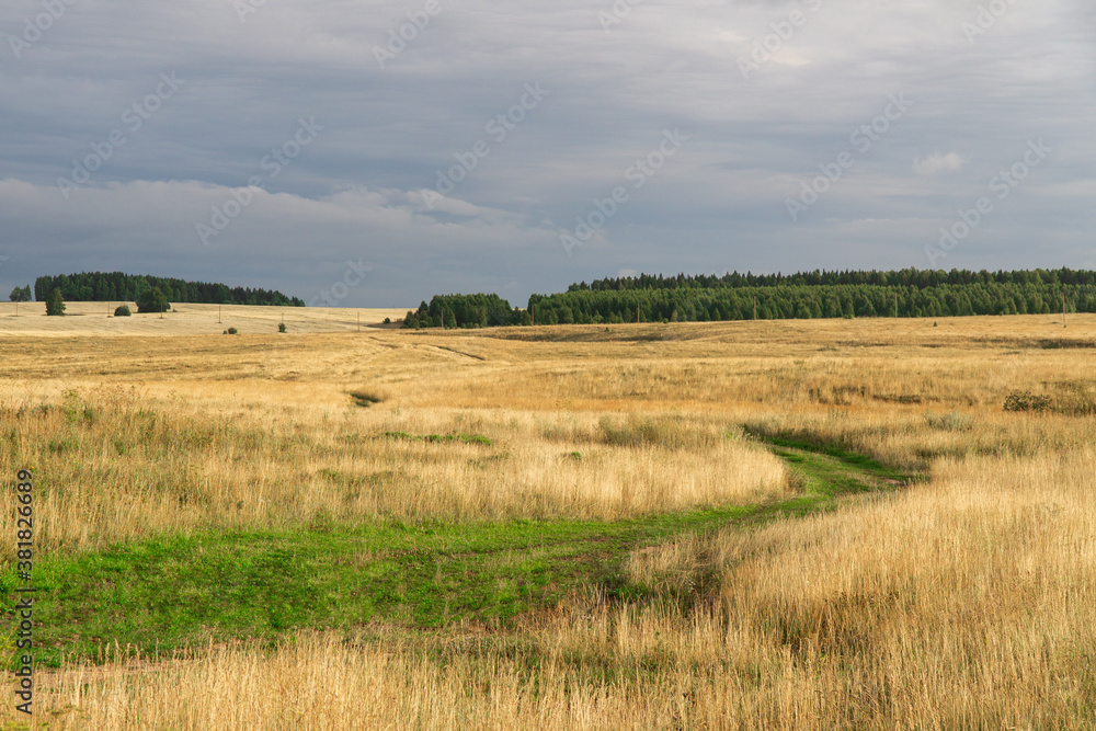 green road among dry grass field in summer