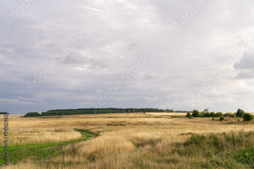 green road among dry grass field in summer © Анна Майорова