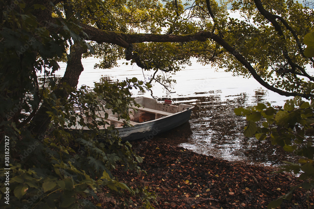 Fishing boat on the lake standing on the shore under the trees. And around the autumn forest
Fishing boat on the lake standing on the shore under the trees. And around the autumn forest
