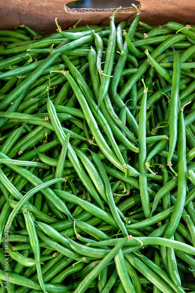 Horizontal photo of a pile of freshly picked green string beans at a farmer's market. Plant background Horizontal photo of a pile of freshly picked green string beans at a farmer's market. Plant background