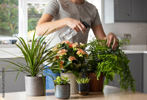 Close Up Of Woman Caring For And Watering House Plants With Spray