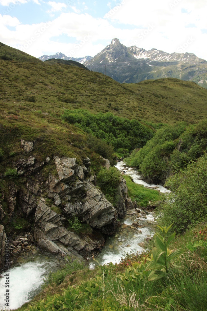 Obraz premium Bergbach mit Alpenpanorama