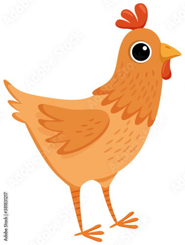 Cute cartoon chicken on white background.