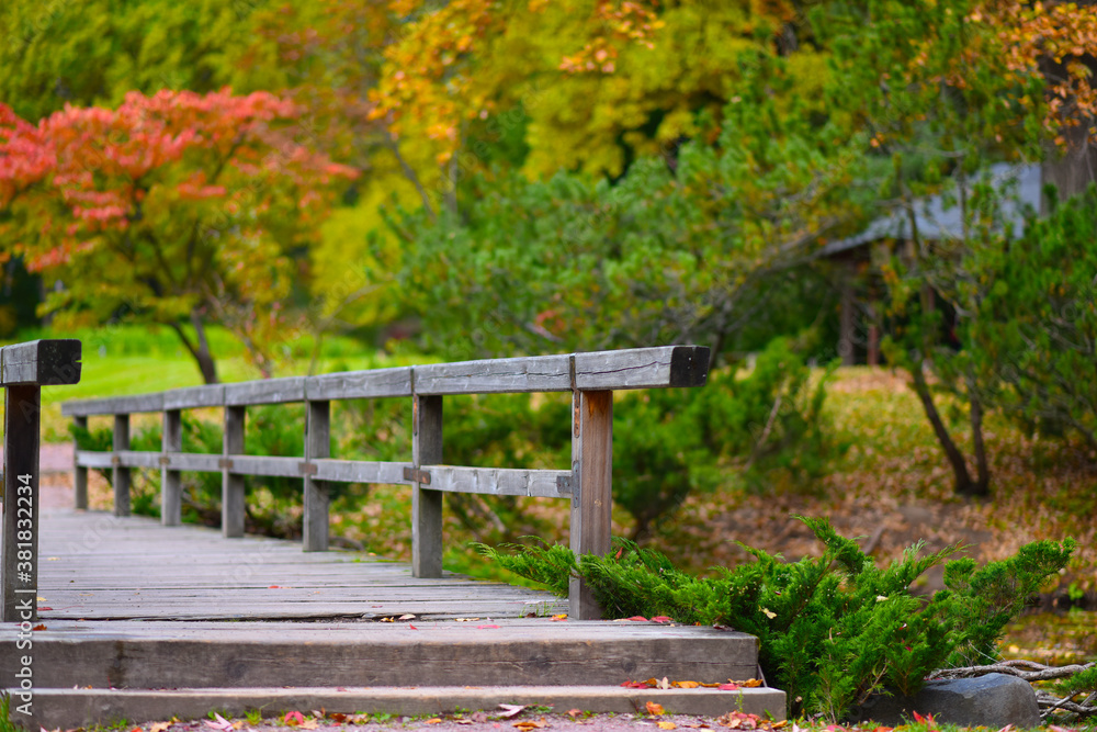 wooden bridge in autumn Park