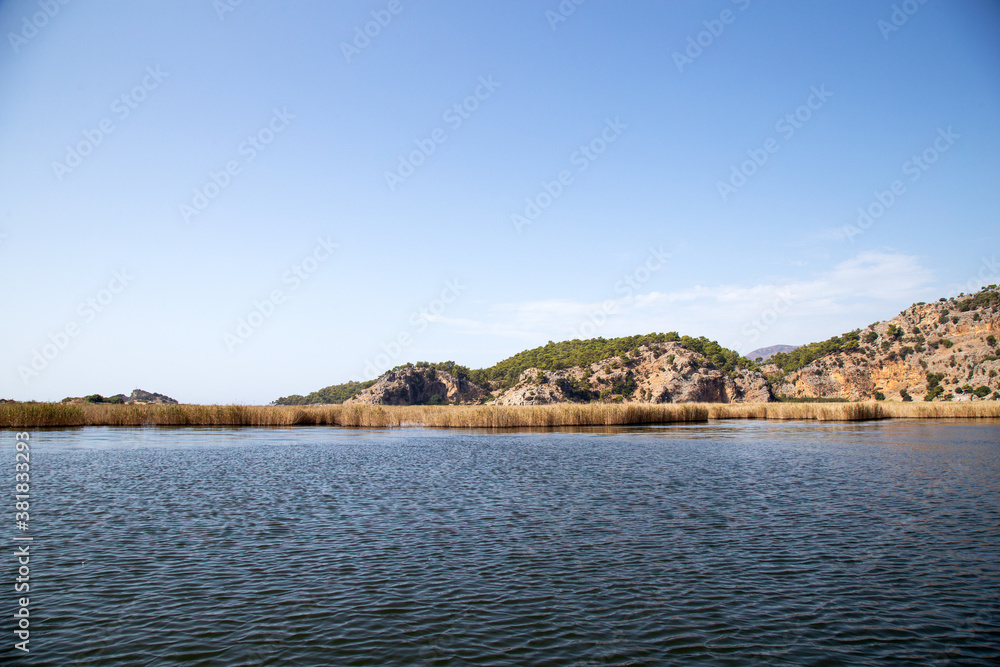 Dalyan river is populer tourist destination in Turkey. River hosts the caretta caretta and many birds and fishs. Dalyan river is populer tourist destination in Turkey. River hosts the caretta caretta and many birds and fishs.