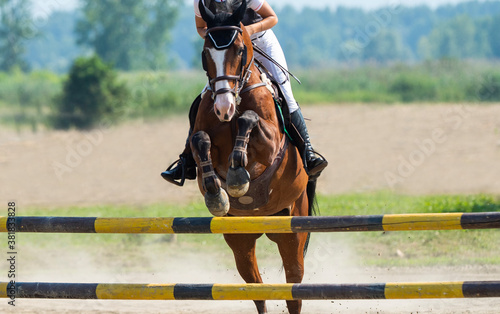 Young rider girl jumping on horse over obstacle.