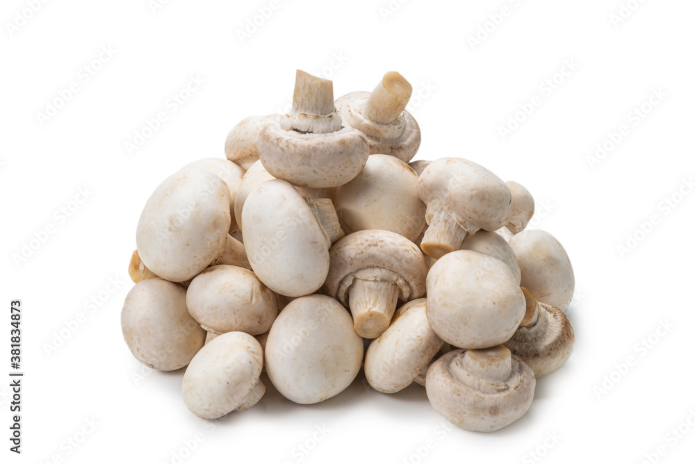 Champignon mushroom isolated on white background. Champignon mushroom isolated on white background.