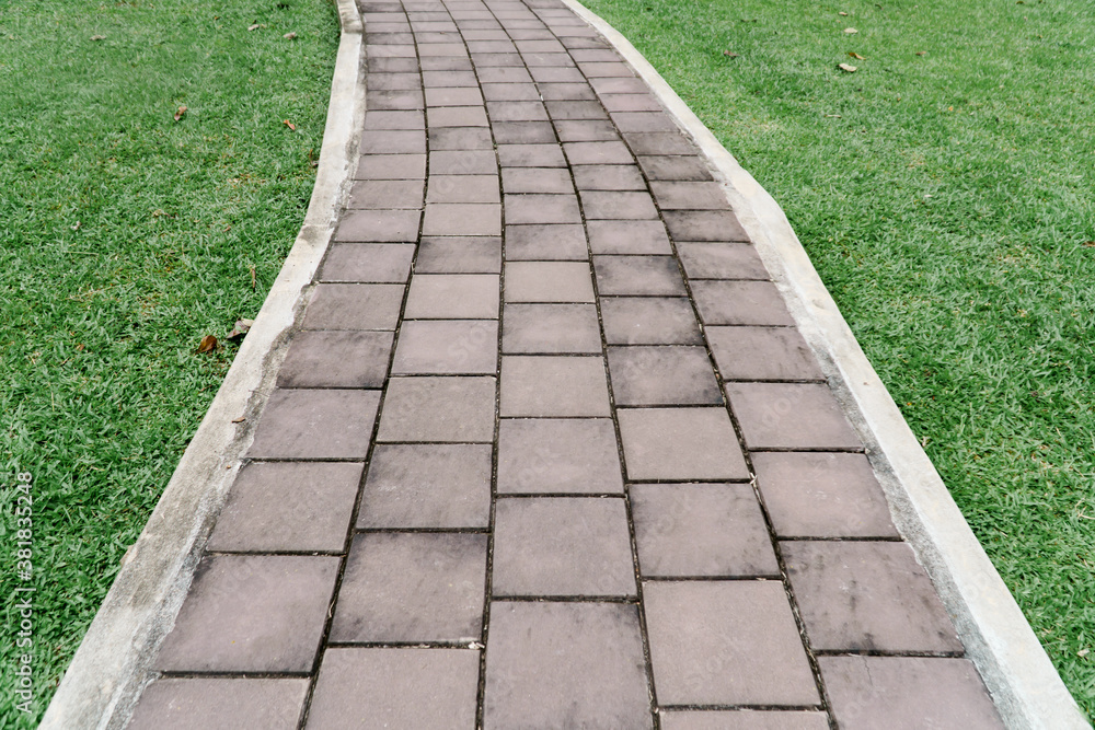 Concrete pathway with grasses for walking or running in a garden.