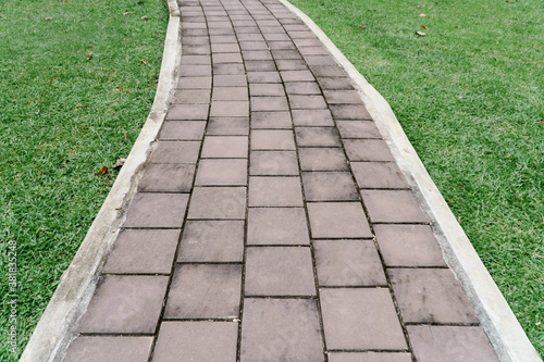 Concrete pathway with grasses for walking or running in a garden.