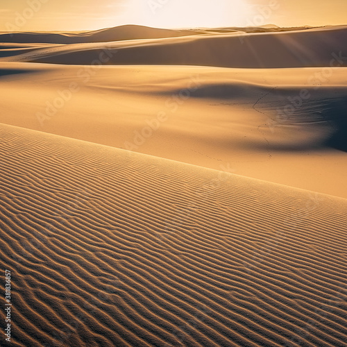 Ripples and patterns back lit in the sand dunes at sunset
