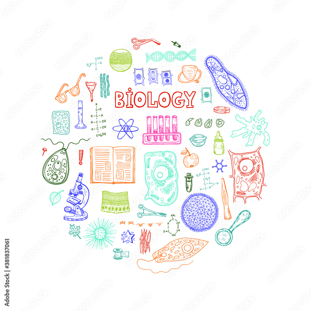 Round composition with hand drawn biology images and other elemets. Science collection. Vector doodlle illustration