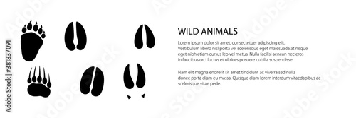 Banner of track of forest animals, traces of a bear and a deer and a moose , vector illustration