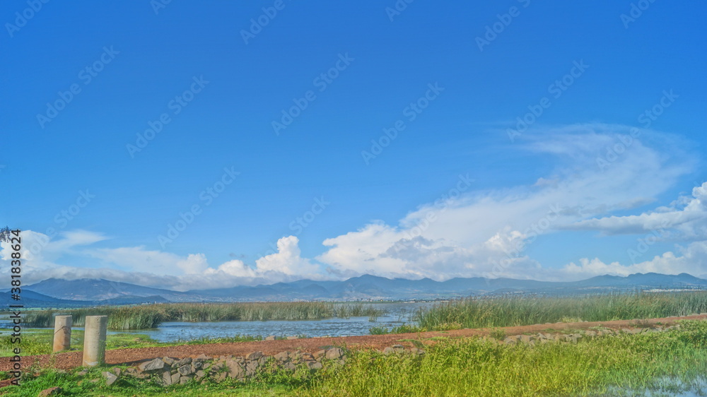 Pasto y lago