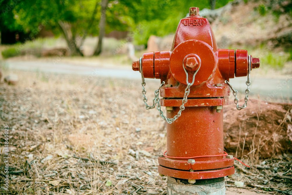 Red Hydrant at road border in the National Park Red Hydrant at road border in the National Park
