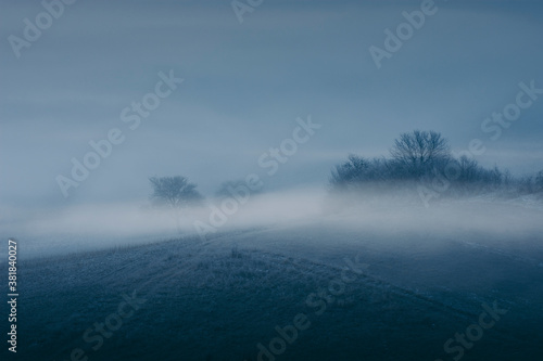 dark fog on hill landscape, twilight scenery with trees in mist © andreiuc88