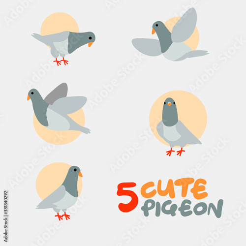 Pigeon cartoon character.Simple animal cute vector illustration