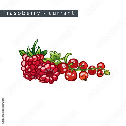 sketch_raspberry_currant_two_and_brush_on_the_right