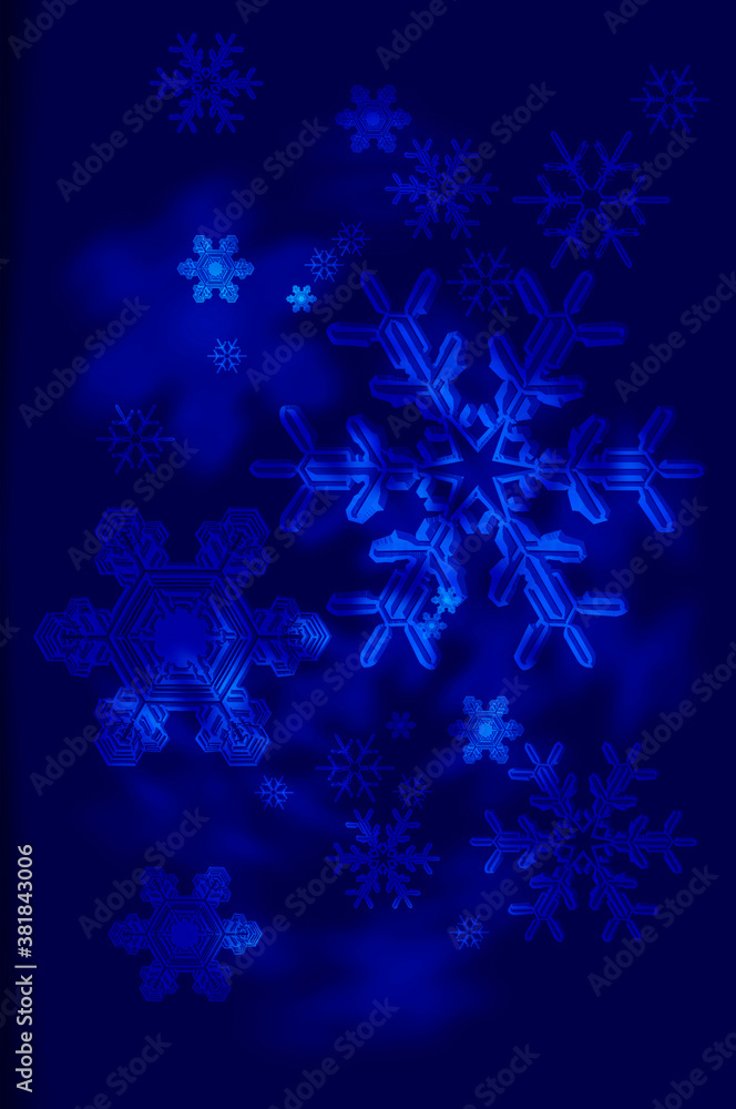 雪の結晶 雪の結晶