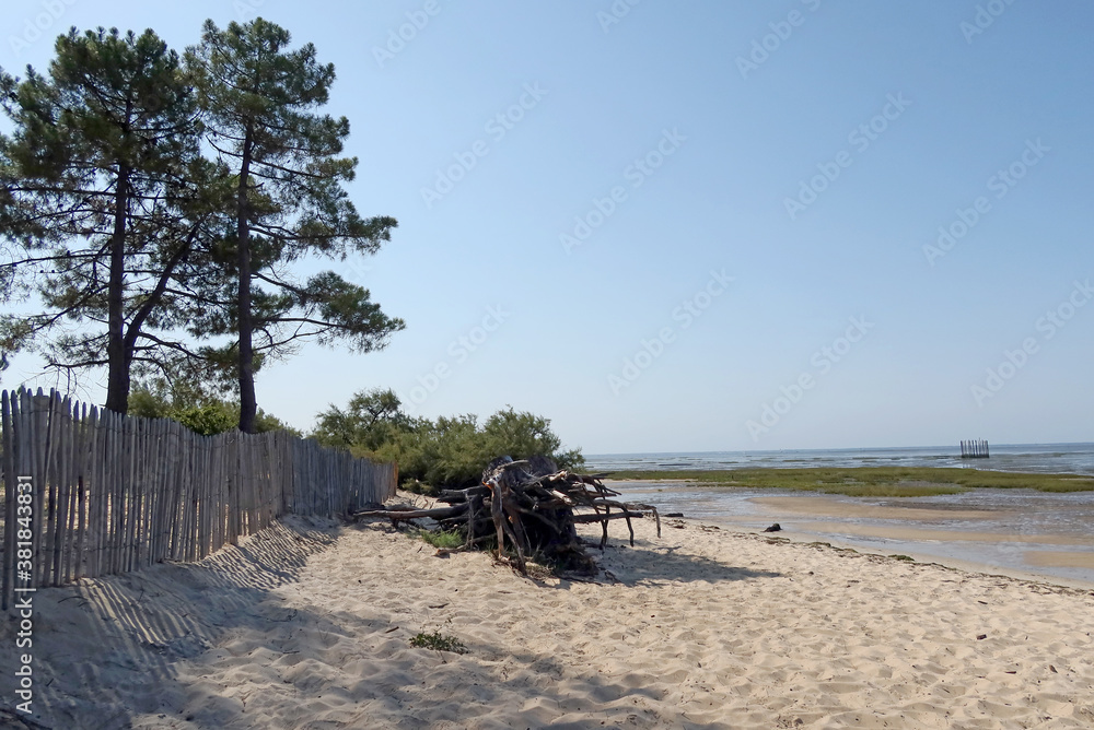 Site naturel des Quinconces