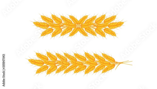 Set of garlands of ears of ripe wheat on a white background.