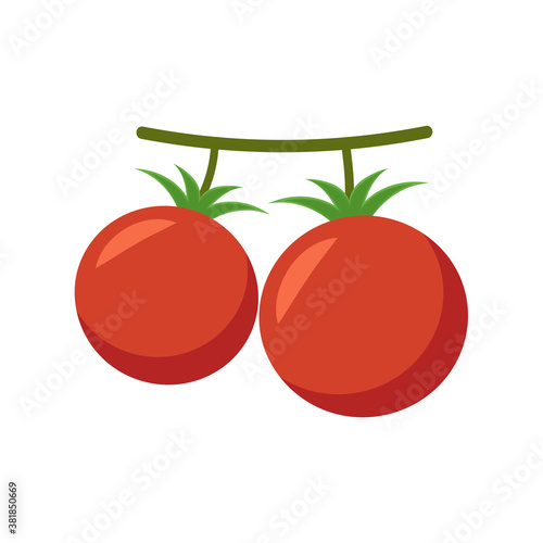 Tomato cartoon. Tomato vector. Tomato on white background.