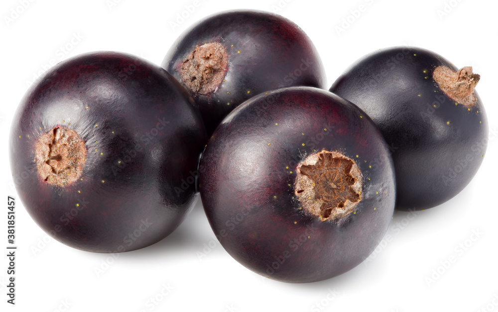 black currant isolated on white background. macro. clipping path black currant isolated on white background. macro. clipping path