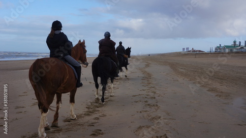 horses on the beach