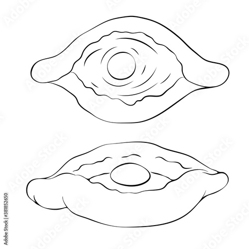 traditional boat pie with cheese and egg line drawing isolated on white. Ajarian or georgian khachapuri outline icon. baking vector sketch. rustic pastry illustration. for menu, package design, logo.
